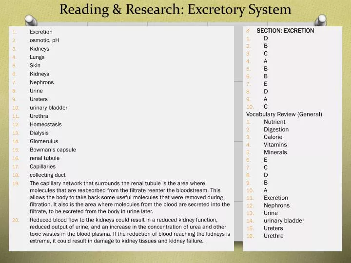 reading research excretory system