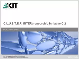 C.L.U.S.T.E.R. INTERpreneurship Initiative CI2