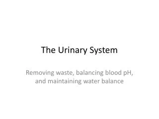 The Urinary System