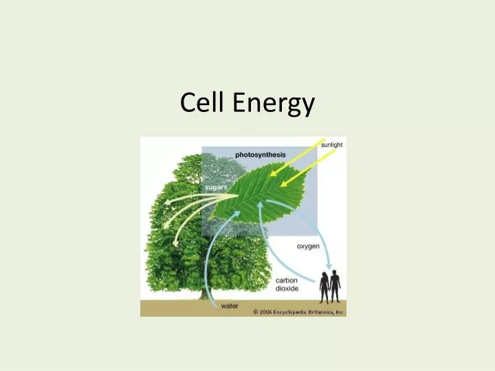 cell energy