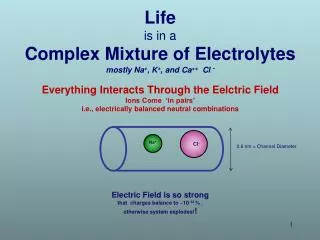 Life is in a Complex Mixture of Electrolytes mostly Na + , K + , and Ca ++ Cl -