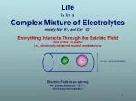 The Electrolytic Basis of Life: Variational Mathematics in Complex Ionic Interactions - slide 1