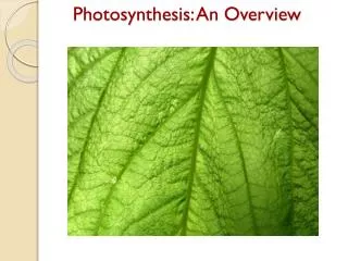 Photosynthesis : An Overview