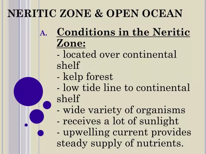 neritic zone open ocean