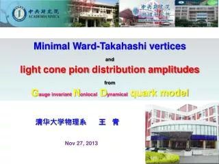 Minimal Ward-Takahashi vertices and light cone pion distribution amplitudes from