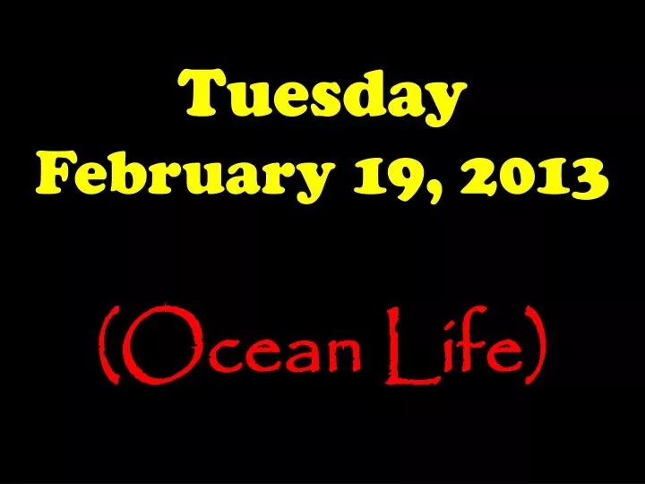 tuesday february 19 2013