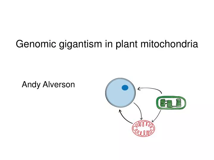 genomic gigantism in plant mitochondria