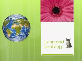 Living and Nonliving