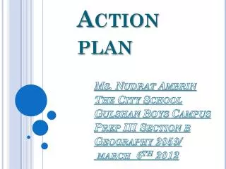 Action plan