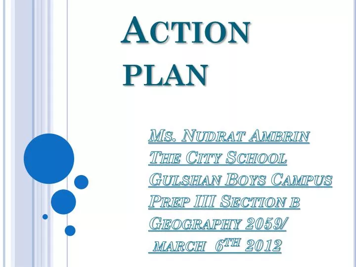 action plan