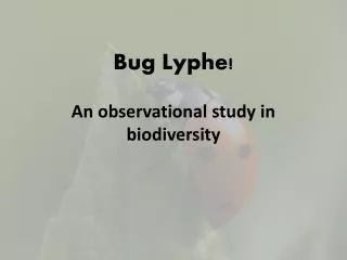 Bug Lyphe ! An observational study in biodiversity