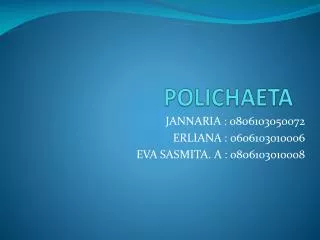 polichaeta