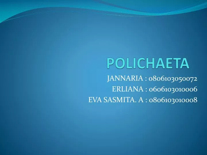 polichaeta