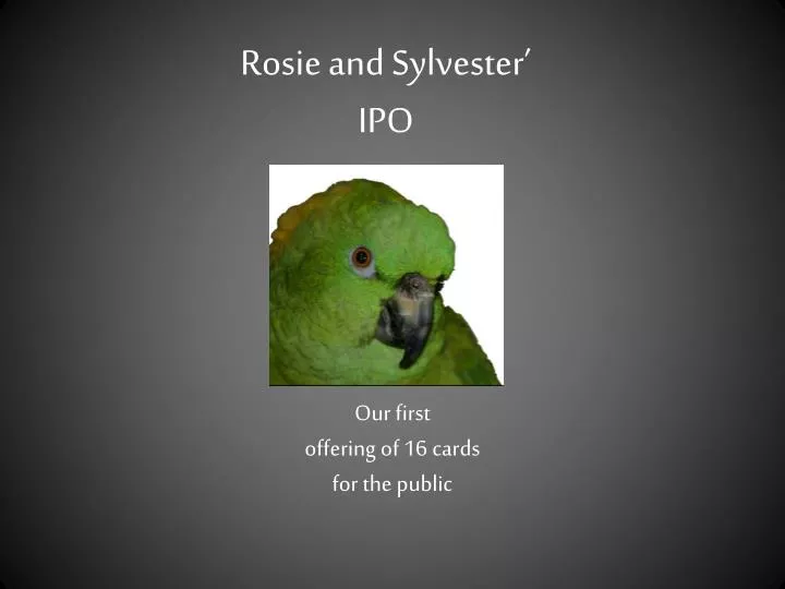 rosie and sylvester ipo