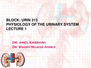 Block: URIN 313 Physiology of THE URINARY SYSTEM Lecture 1