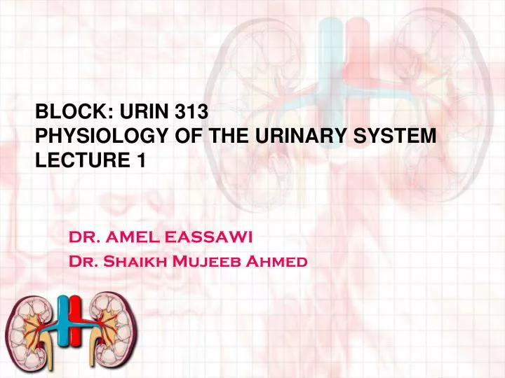 block urin 313 physiology of the urinary system lecture 1