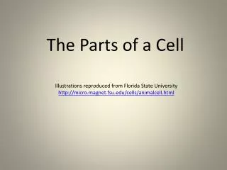 The Parts of a Cell