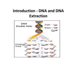 Introduction - DNA and DNA Extraction
