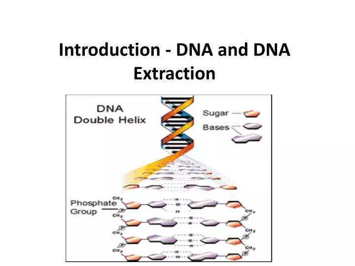 introduction dna and dna extraction