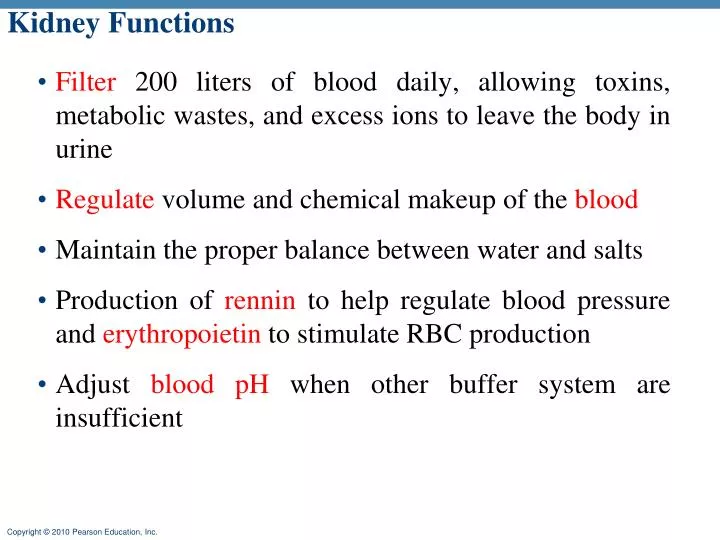 kidney functions