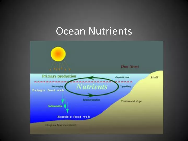 ocean nutrients