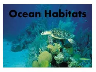 Ocean Habitats