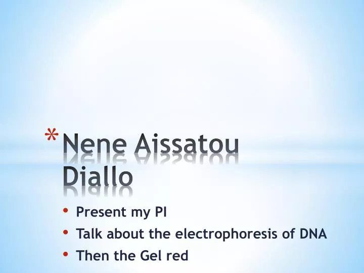 nene aissatou diallo