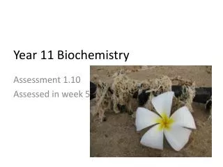 Year 1 1 Bio chemistry