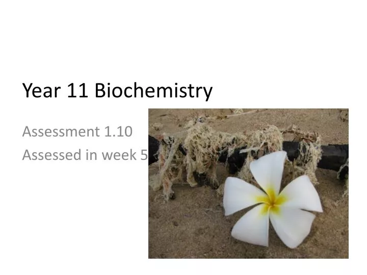 year 1 1 bio chemistry