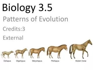Biology 3.5