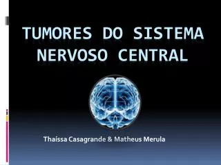 tha ssa casagrande matheus merula