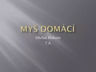 my dom c