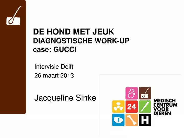 de hond met jeuk diagnostische work up case gucci