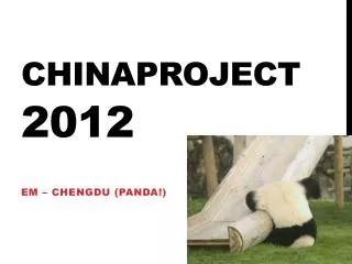 chinaproject 2012