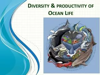 Diversity &amp; productivity of Ocean Life