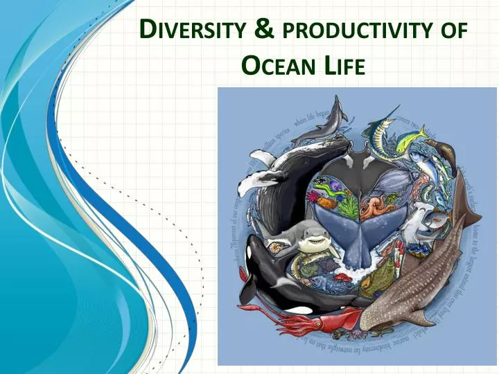 diversity productivity of ocean life
