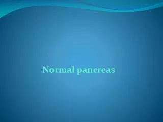 Normal pancreas