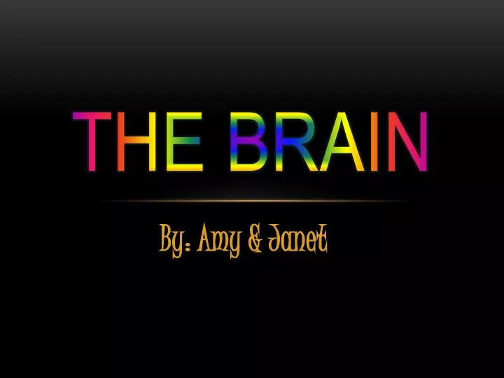 the brain