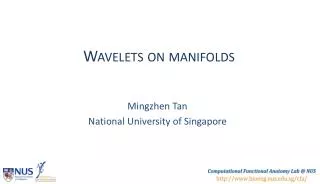 Wavelets on manifolds