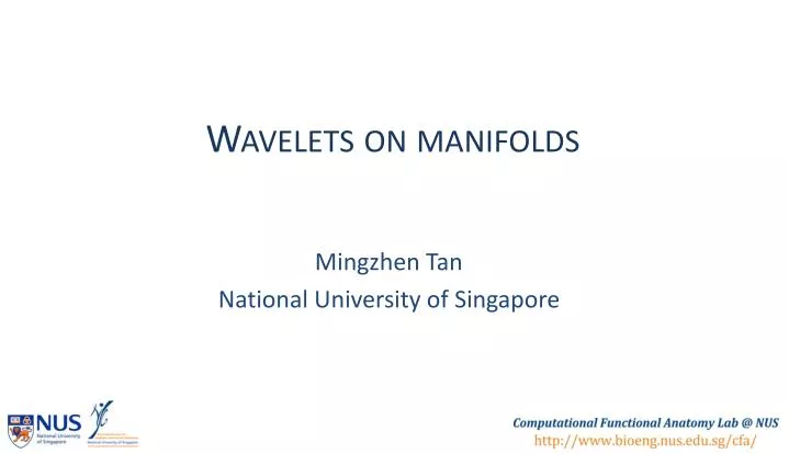 wavelets on manifolds