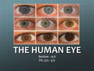 THE HUMAN EYE