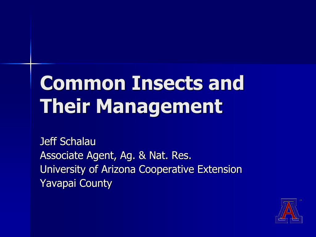 PPT - Common Insects and Their Management PowerPoint Presentation, free ...