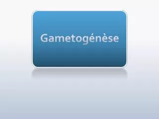 gametog n se