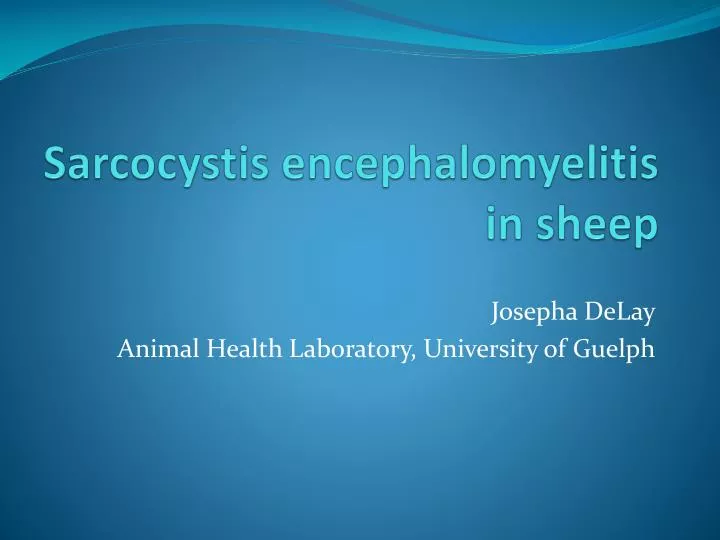 sarcocystis encephalomyelitis in sheep