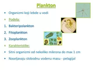 Organizmi koji lebde u vodi Podela: Bakteripolankton Fitoplankton Zooplankton Karakteristike: