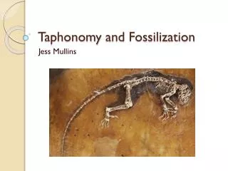 Taphonomy and Fossilization