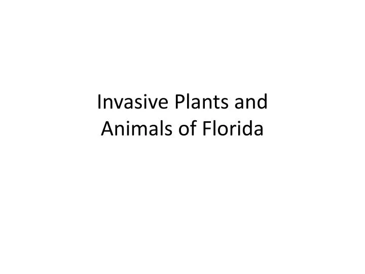 invasive plants and animals of florida