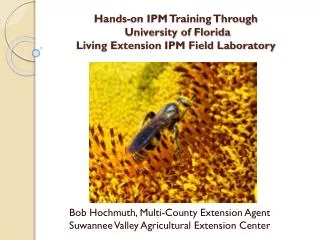 Hands-on IPM Training Through University of Florida Living Extension IPM Field Laboratory