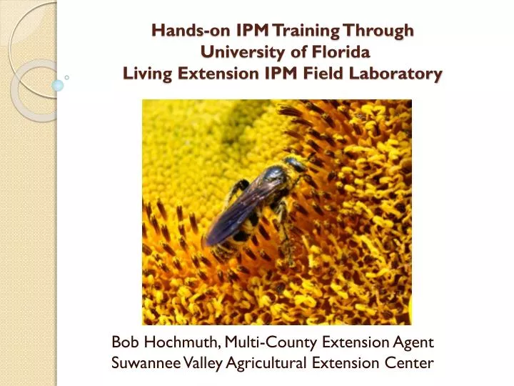 hands on ipm training through university of florida living extension ipm field laboratory