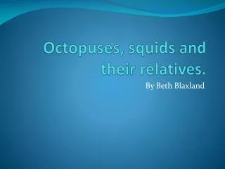 Octopuses, squids and their relatives.